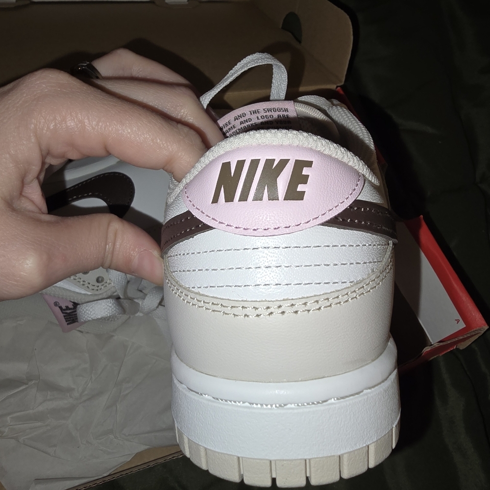 New in box Nike Dunks